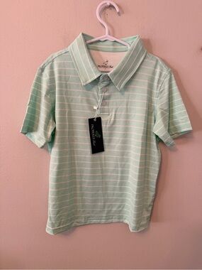 Properly Tied Mint Green Striped Performance Polo
